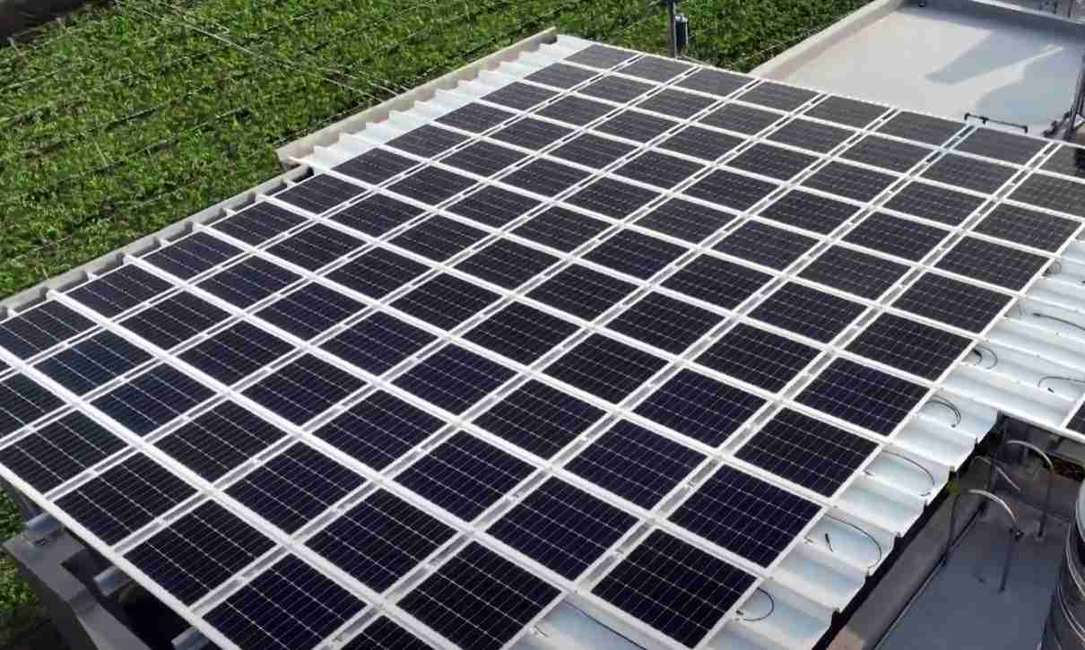 开云电子SunSteel光电浪板升级双玻结构，，，以提升机械负载强度及气候耐候度，，，，可广泛运用于多元场域